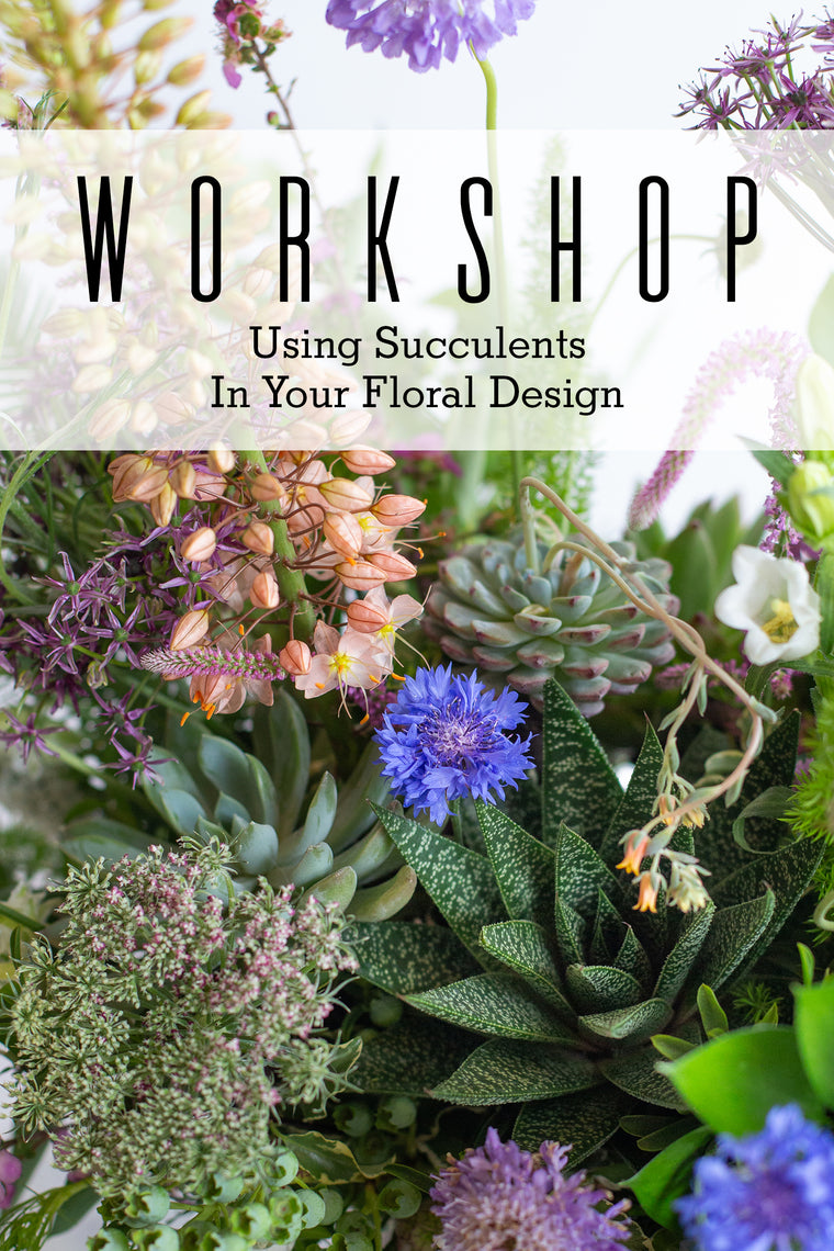 2025.08.12 Workshop | Using Succulents in Your Floral Design