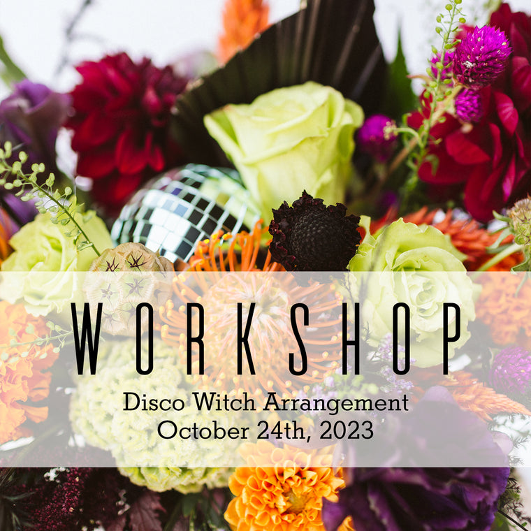 2023.10.24 Workshop | Disco Witch Spooky Season Arrangement