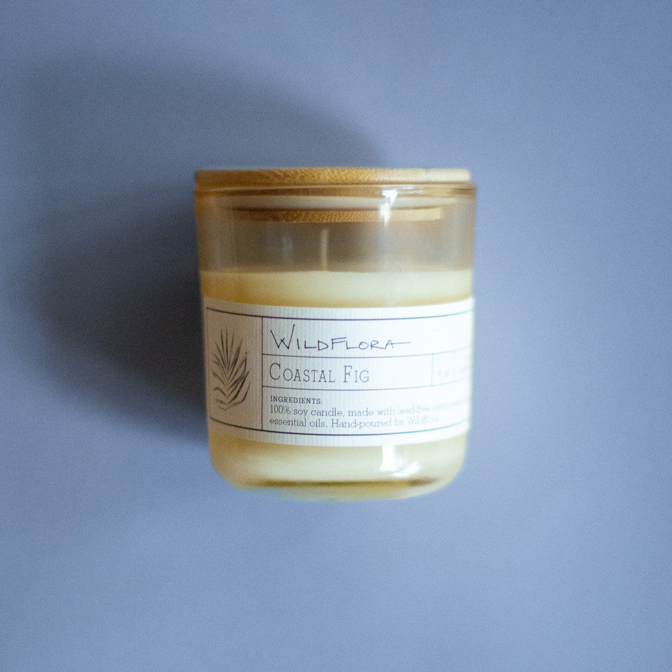 WildFlora Coastal Fig single wick candle with a wooden lid and label on a light blue background