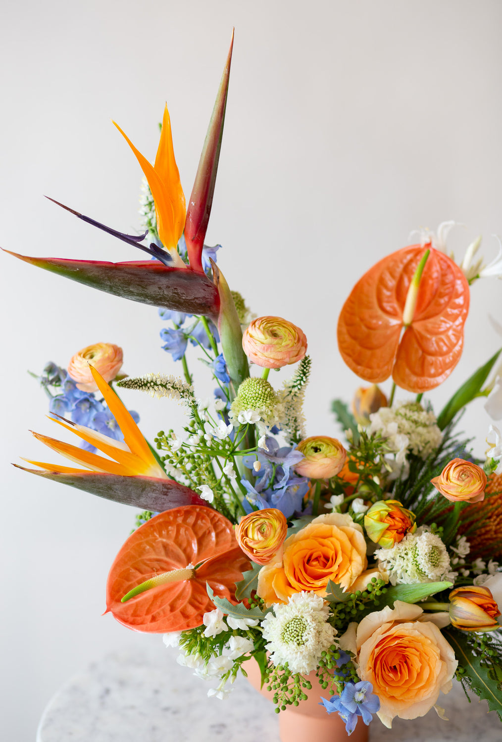 WildFlora's Tropic Paradise Arrangement in a terracotta compote vase on a small marble table in front of a white backdrop. It has blue, orange, peach, and white flowers, and includes rose, ranunculus, banksia protea, iris, delphinium, anthurium, scabiosa, bird of paradise, tulip, and allium.