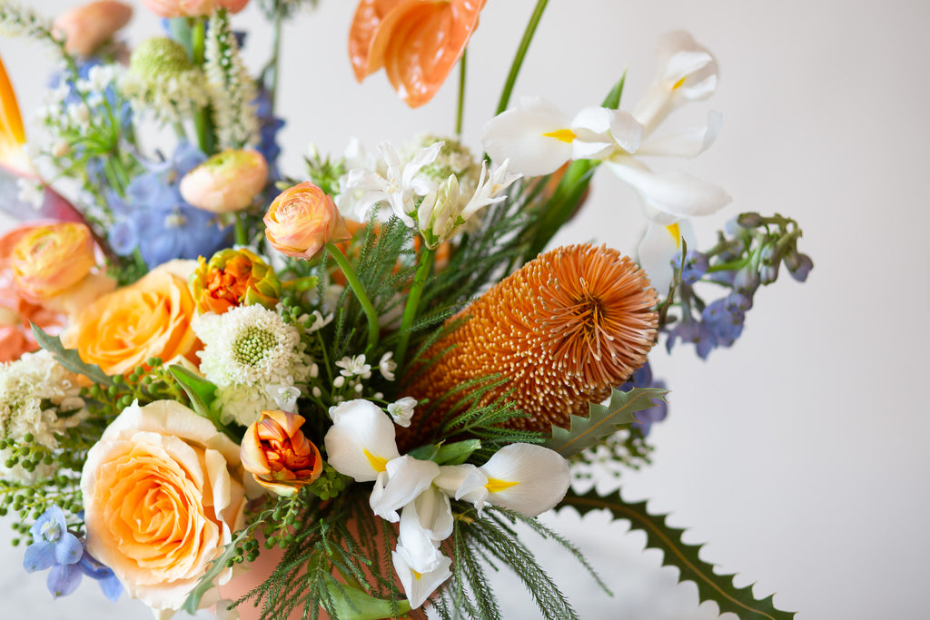 WildFlora's Tropic Paradise Arrangement in a terracotta compote vase on a small marble table in front of a white backdrop. It has blue, orange, peach, and white flowers, and includes rose, ranunculus, banksia protea, iris, delphinium, anthurium, scabiosa, bird of paradise, tulip, and allium.