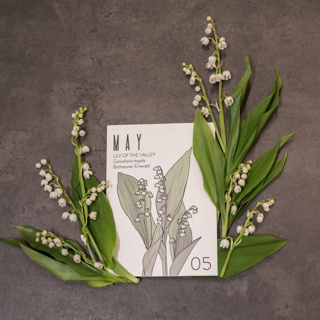 Greeting Card: May Birth Month Flower
