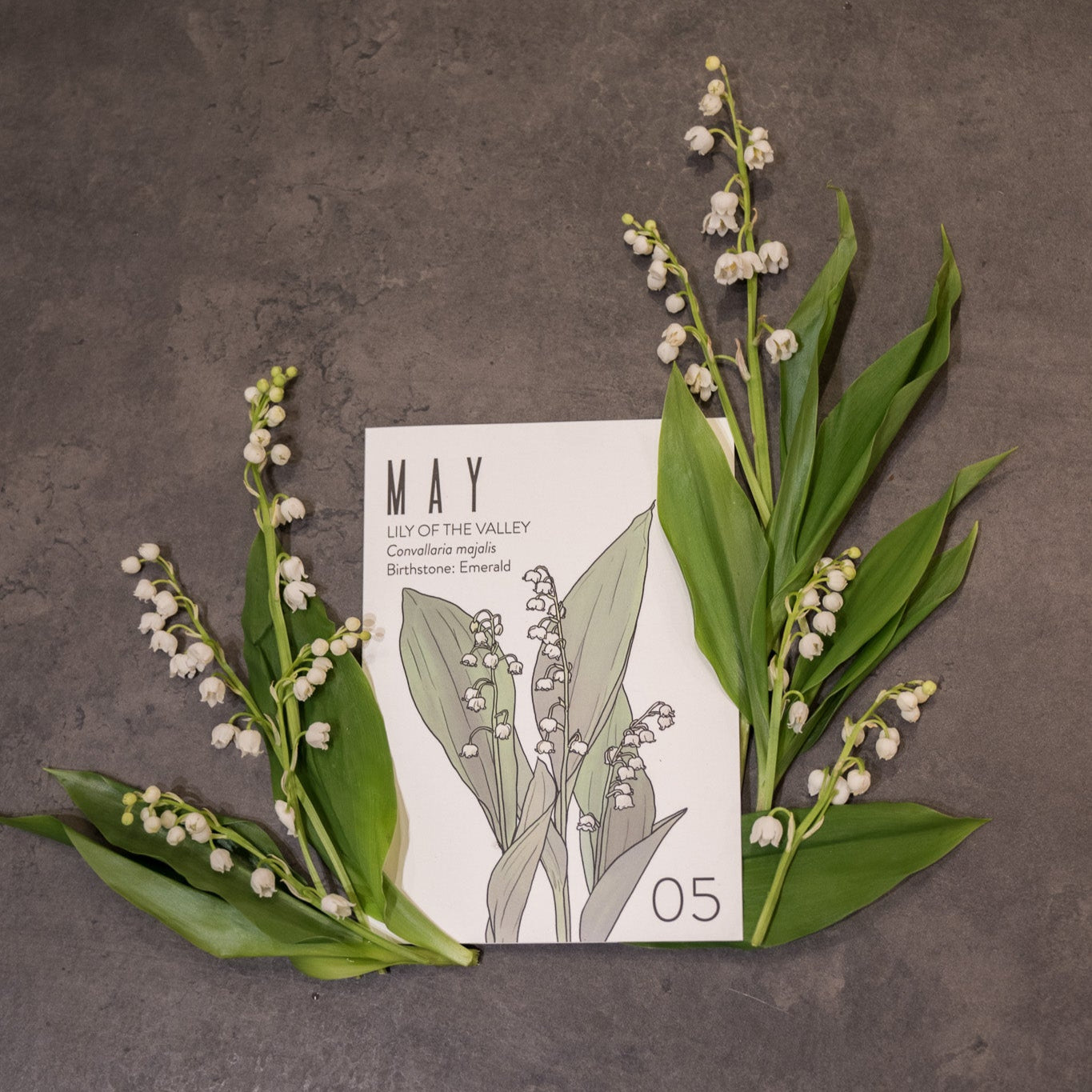 Greeting Card: May Birth Month Flower