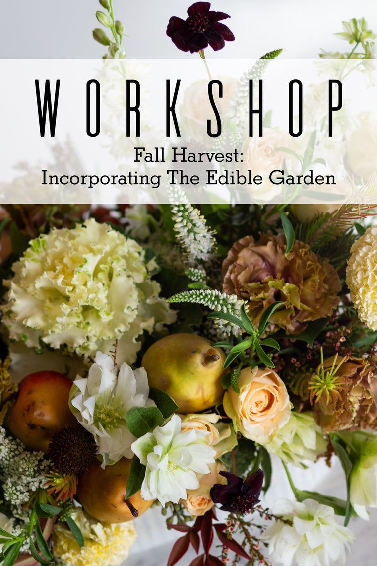 2025.11.13 Workshop | Fall Harvest: Incorporating the Edible Garden