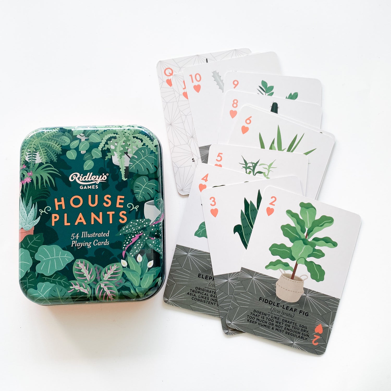 house plant care cards Houseplants Playing Cards