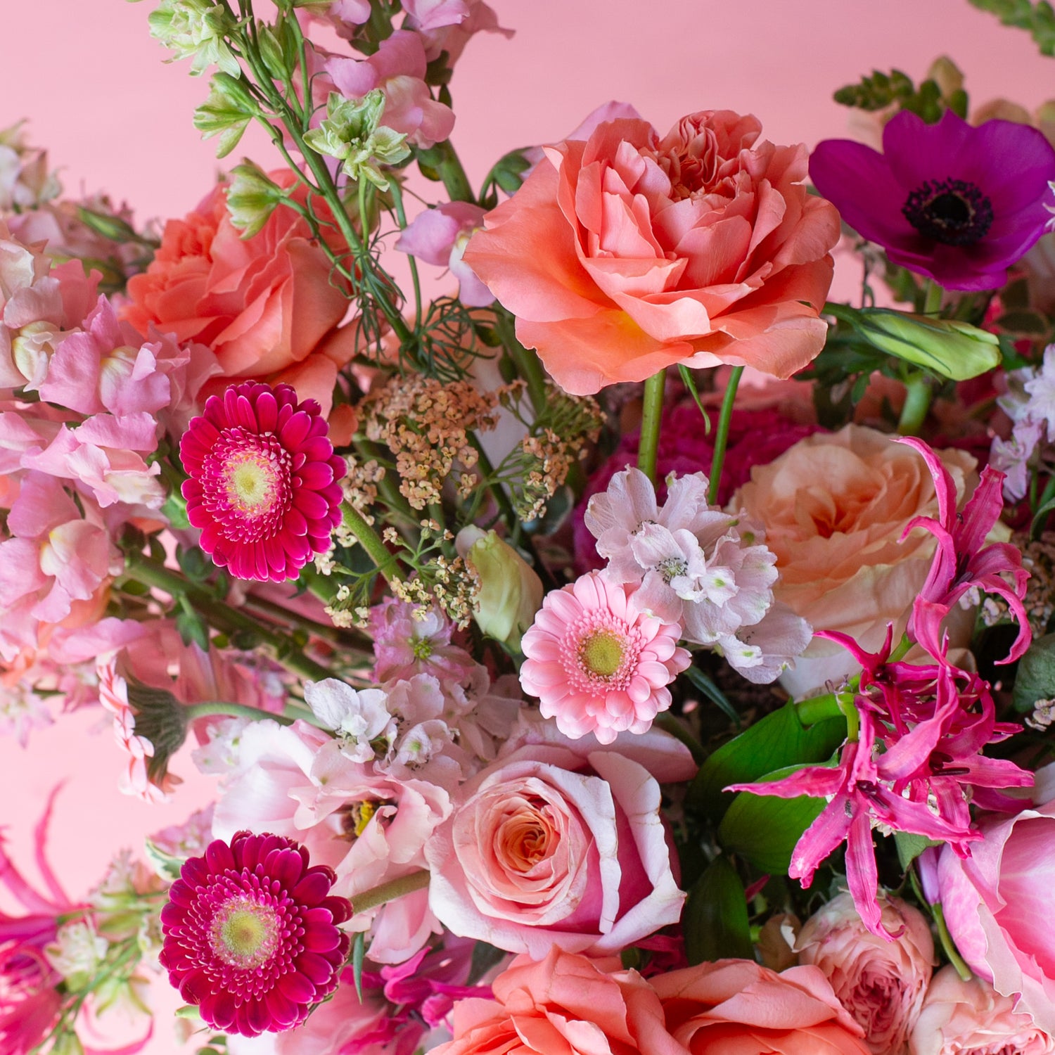 Monochromatic Bouquet