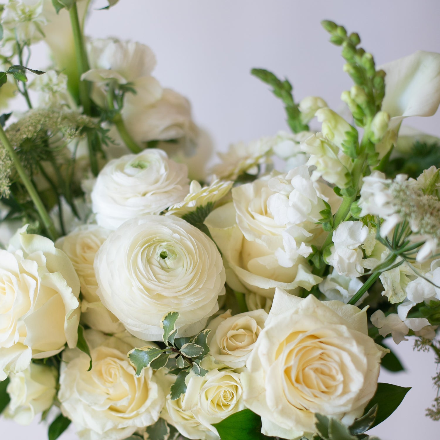 Monochromatic Bouquet