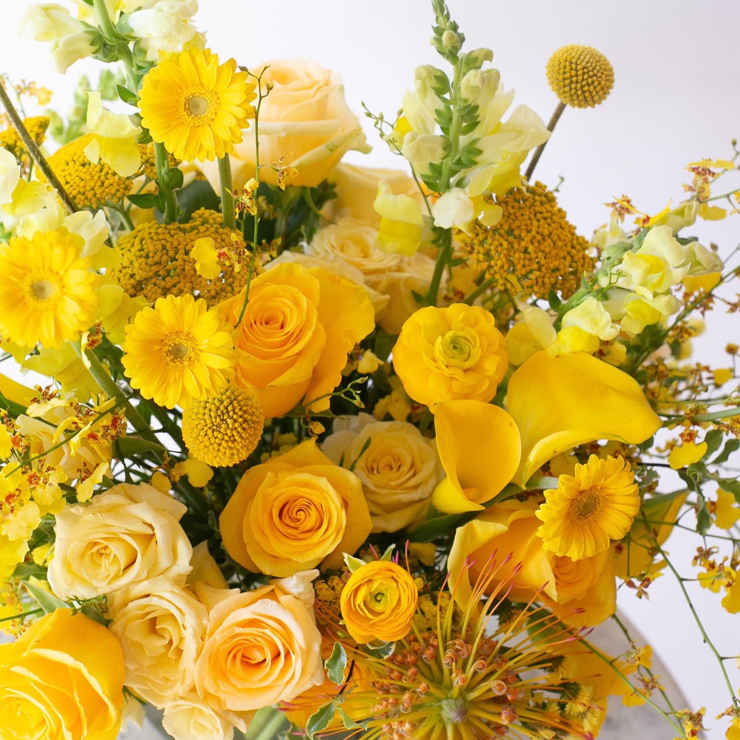 Monochromatic Bouquet