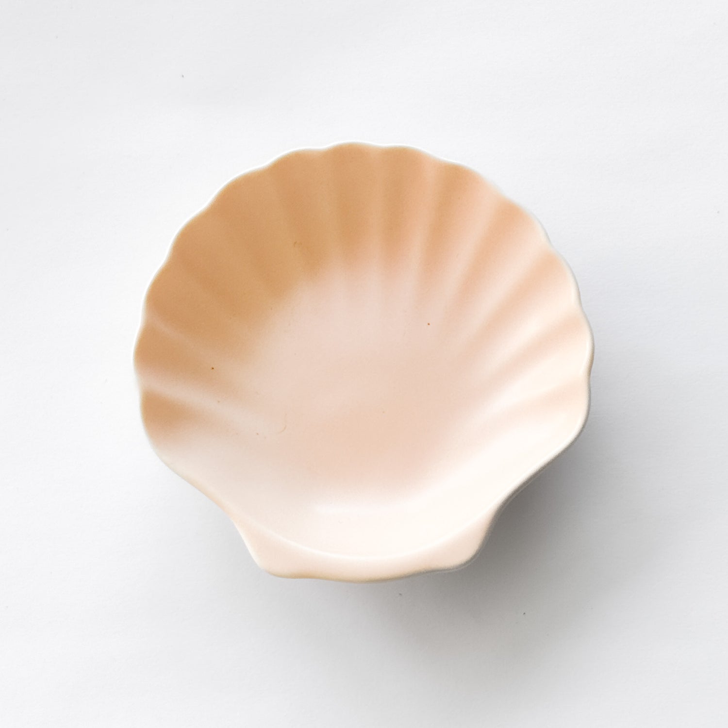 4" Shell Dish