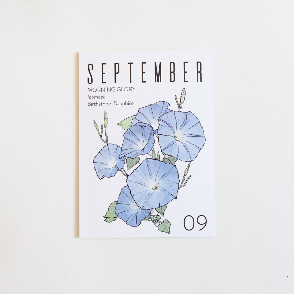 Greeting Card: September Birth Month Flower