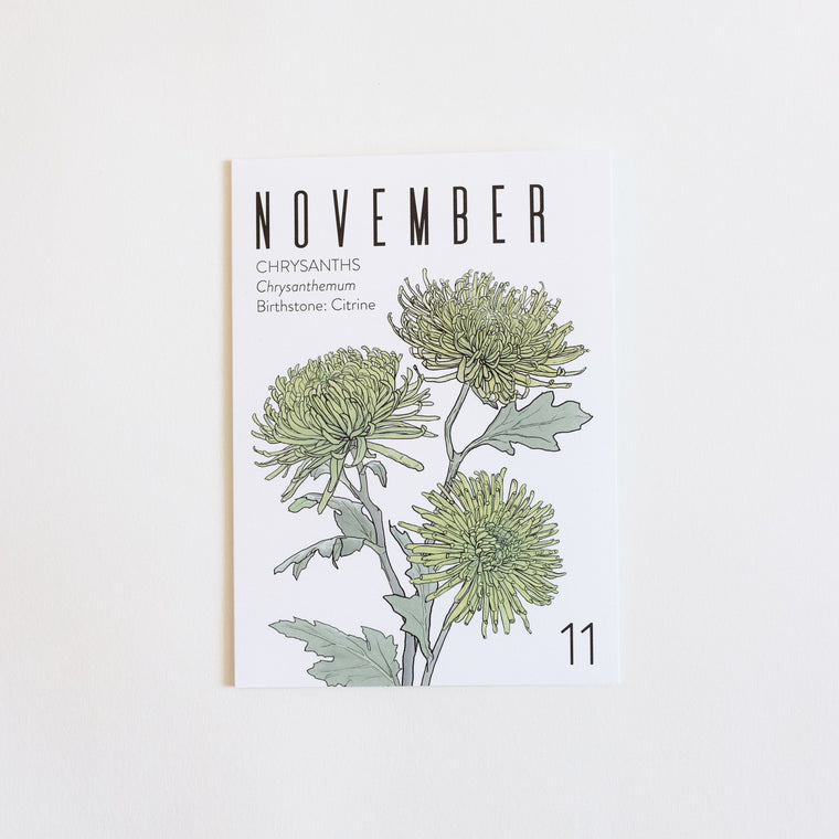 Wholesale Greeting Cards: Birth Month: NOVEMBER