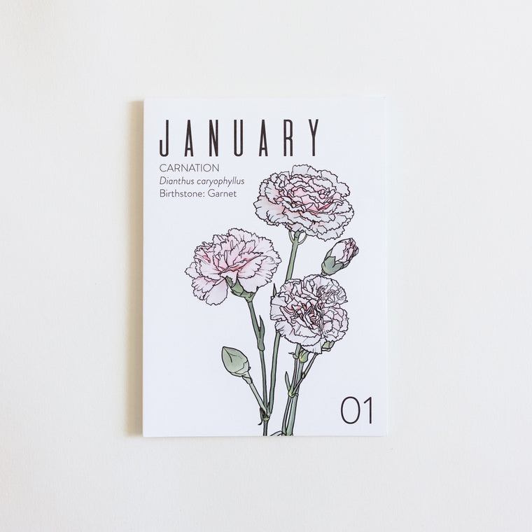 Wholesale Greeting Cards: Birth Month: JANUARY