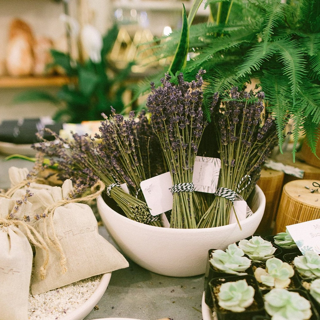 Dried Florals: Lavender Bundle