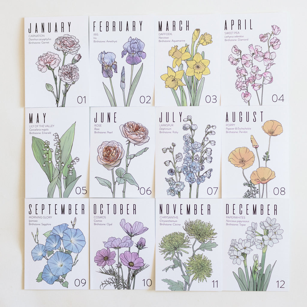 Greeting Card: March Birth Month Flower