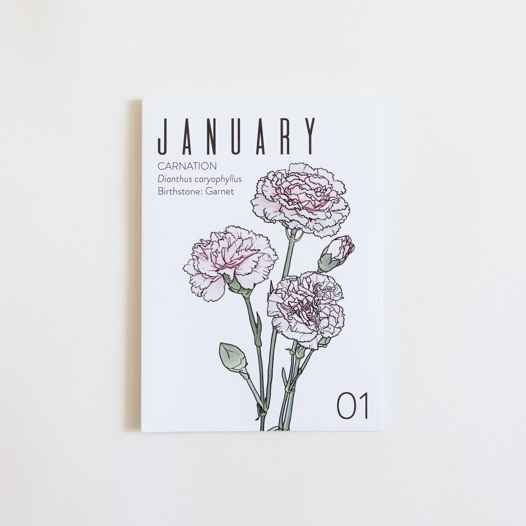 Greeting Card: January Birth Month Flower