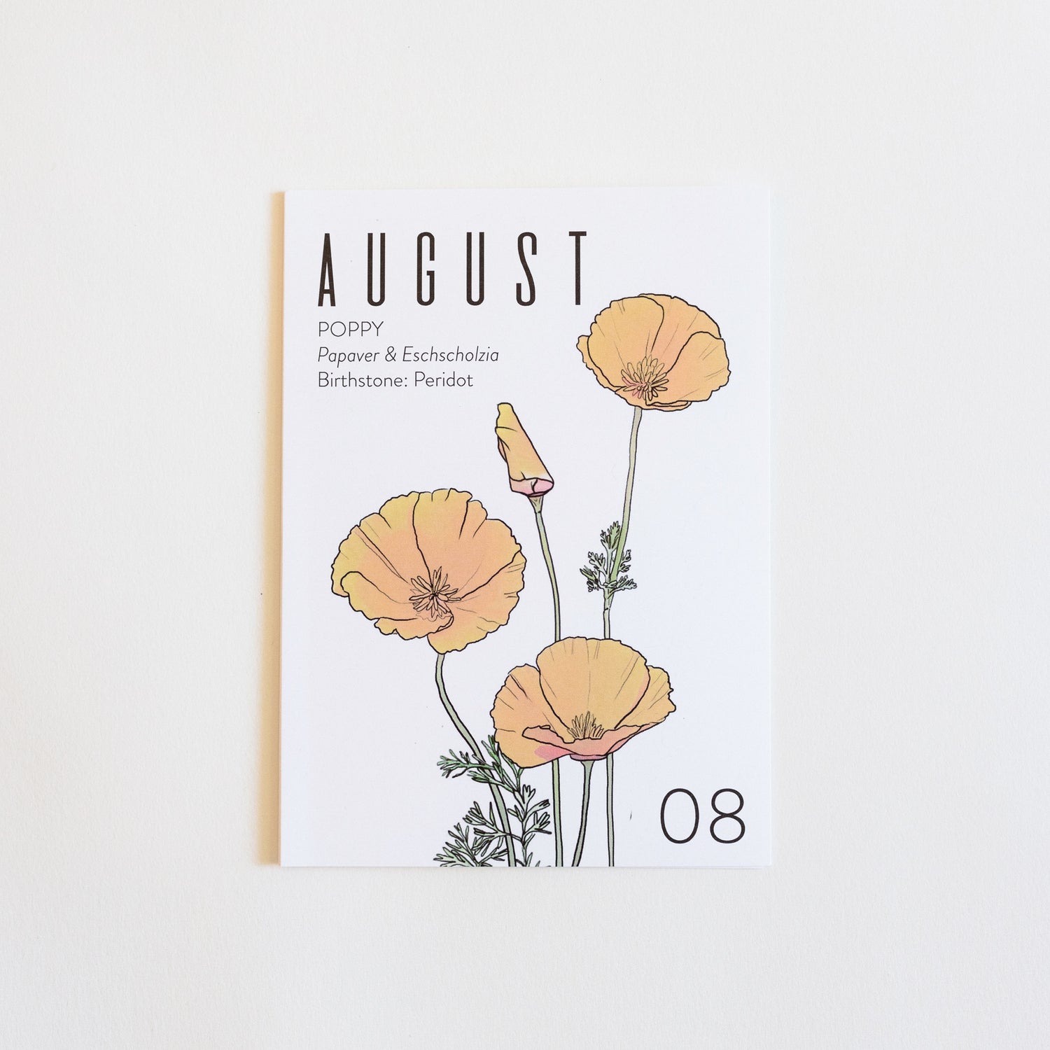 Greeting Card: August Birth Month Flower